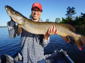 Andrew Weprin 42.50” Northern Pike