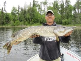 Gary Rodgers 38.5in Pike