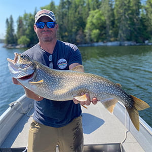 Happy Guest Holding Massive Lake Trout Caught Fishing In Lake Of The Woods